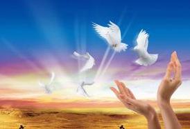 熱烈慶祝我公司網(wǎng)站正式上線(xiàn)！